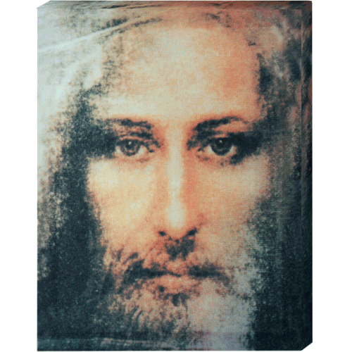 614198C2-CE49-437D-AF53-340E4FFBB3C2